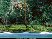 National Geographic Wallpapers 056_jpg